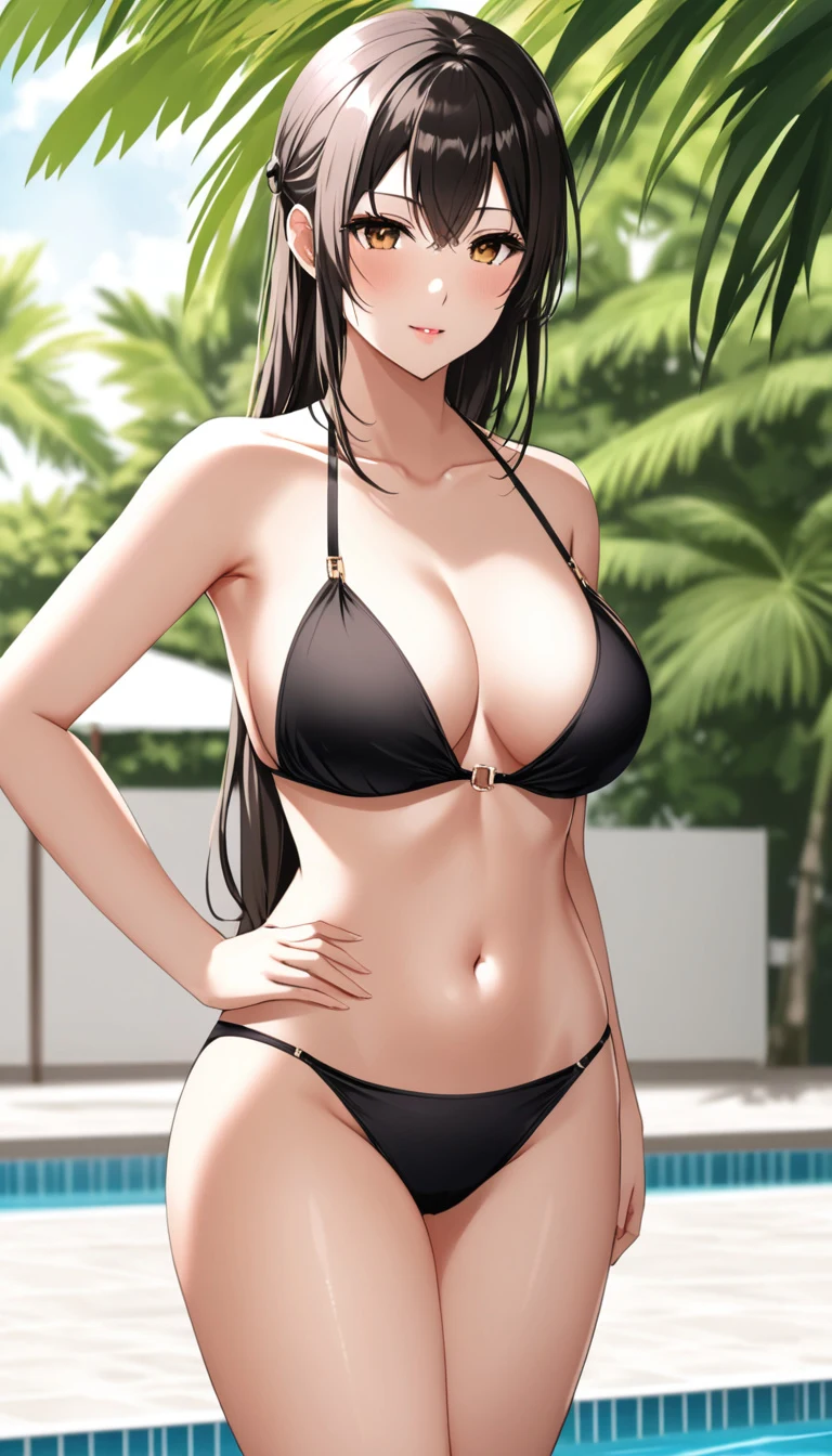 Wei AI girlfriend, anime art style